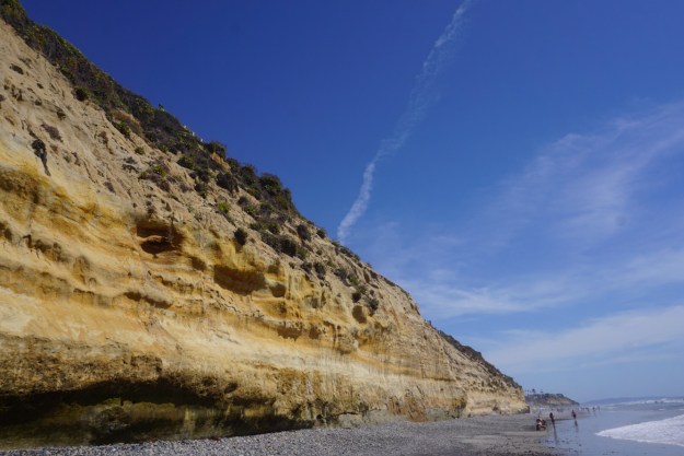 d35907e8-7f24-4318-81c0-a08d1772066d