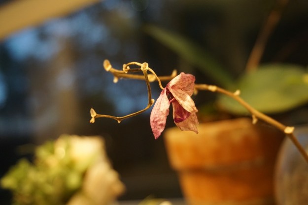 d3b4773e-89dc-41a0-ac13-280e7da3508a