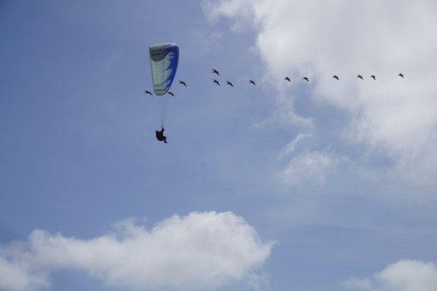 d6c0f6c4-18ba-4e82-bf5d-355eb6b5a3e2