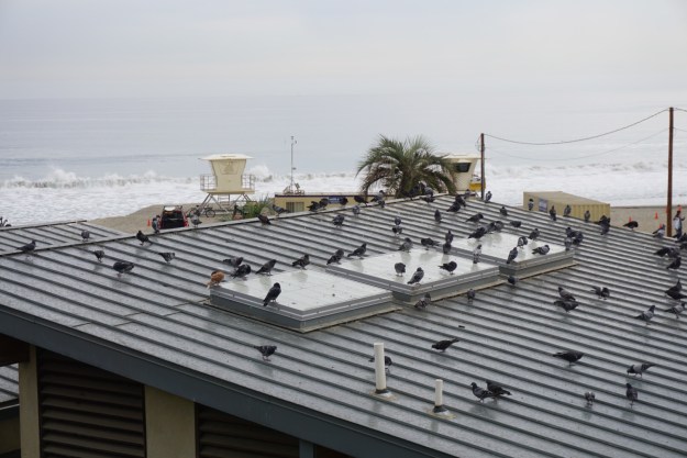 d7ba3cc3-f7c8-443f-bbfc-c86d24c89227