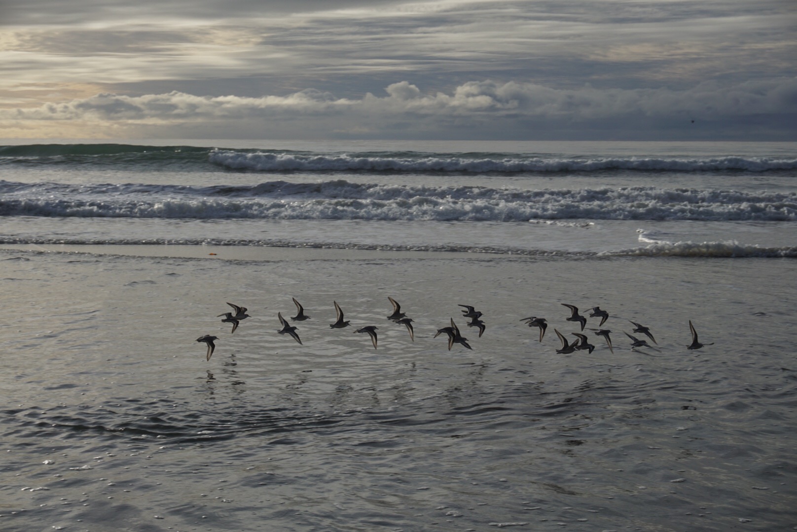 da780bd4-4587-48a3-825d-e7335acc8ab1