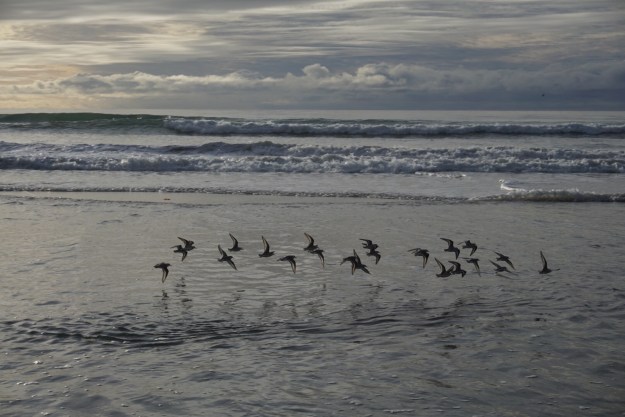 da780bd4-4587-48a3-825d-e7335acc8ab1