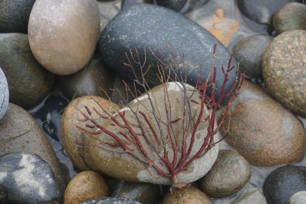 dc197ee5-29e5-4136-ae78-dee9aa3a0ab5