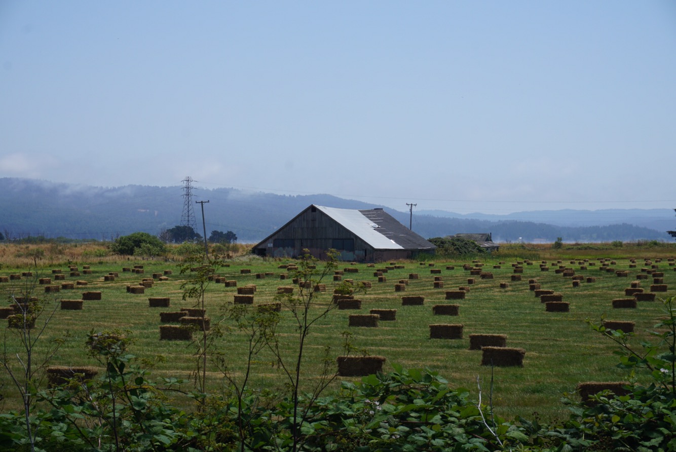 dc3b365c-12c2-4094-820c-7297c4b2aff6