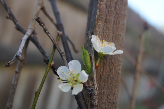 dd55b64a-b049-42f3-a589-6fc0a39cf5df