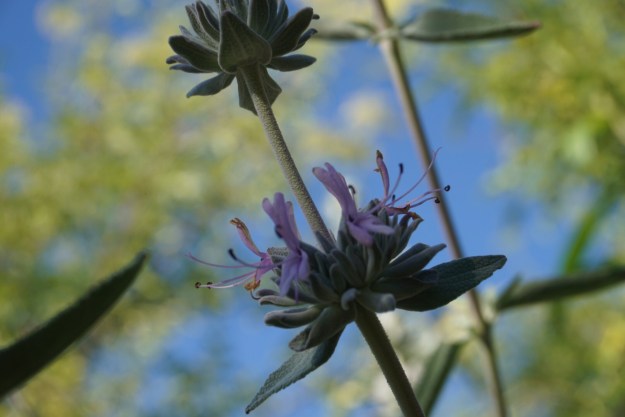 df16a48b-bc66-428d-a257-84f6a6cdd06e