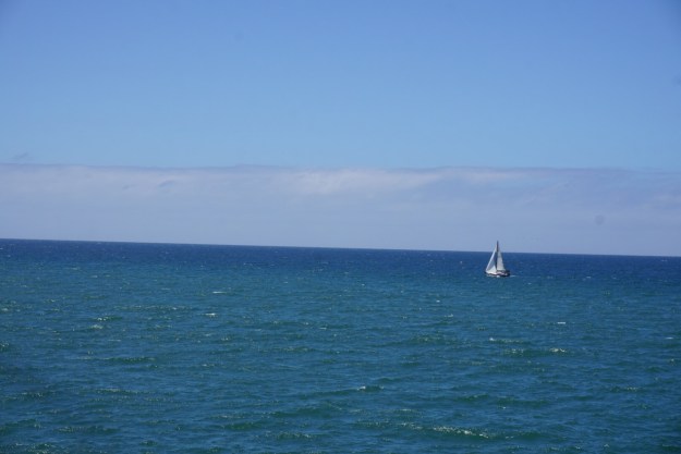 e06b7d67-dcce-4f68-b5c2-898316addc76