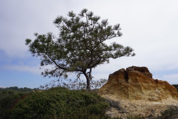 e2790be3-868d-423a-bd2d-e107b1049316