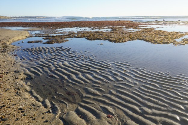 e3a0e74c-763f-4703-9aad-1516c825d339