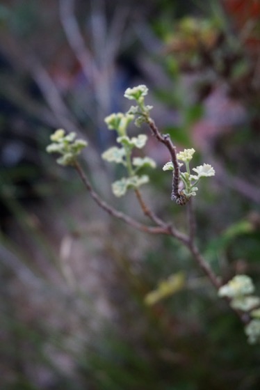 e6ac2fd4-75b6-47cd-8eed-bfbdffee3201