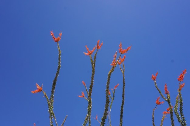 e6f0af20-66c5-4a91-9104-ec68971489d7