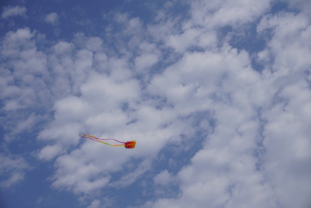 eaca0b2a-103b-4a60-b4a0-2d3d04975052