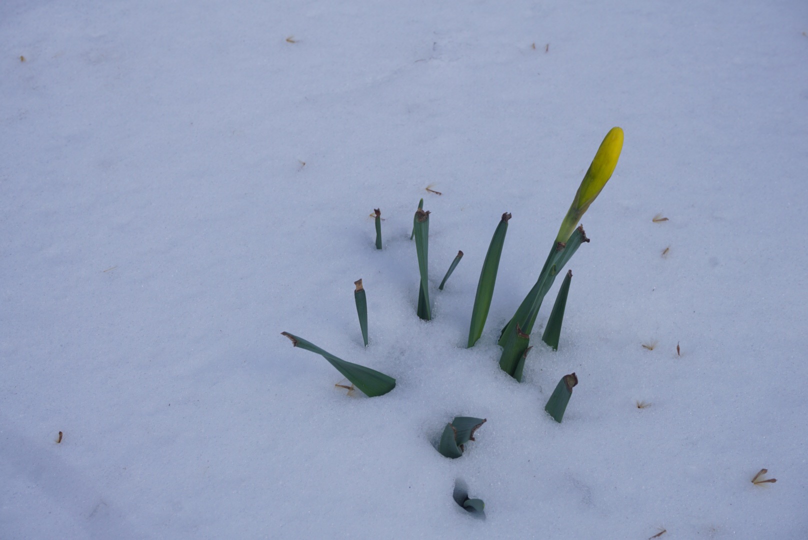 eee1cc65-4029-4524-928e-37a3e094b678