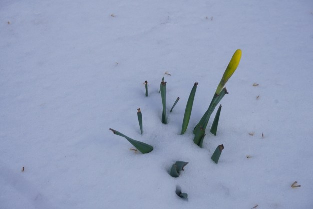 eee1cc65-4029-4524-928e-37a3e094b678