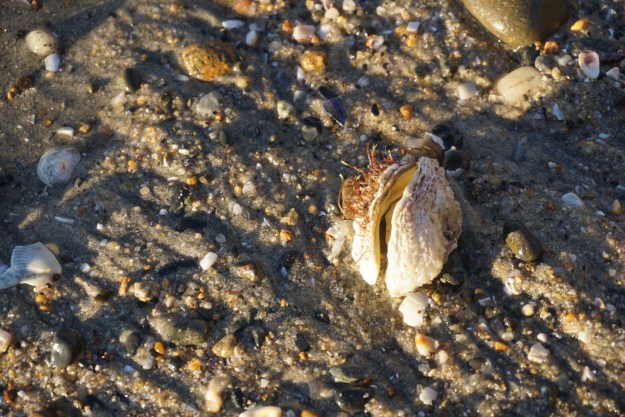 f03a4b12-80e7-4b1c-b2ed-eff1d63a0ca4