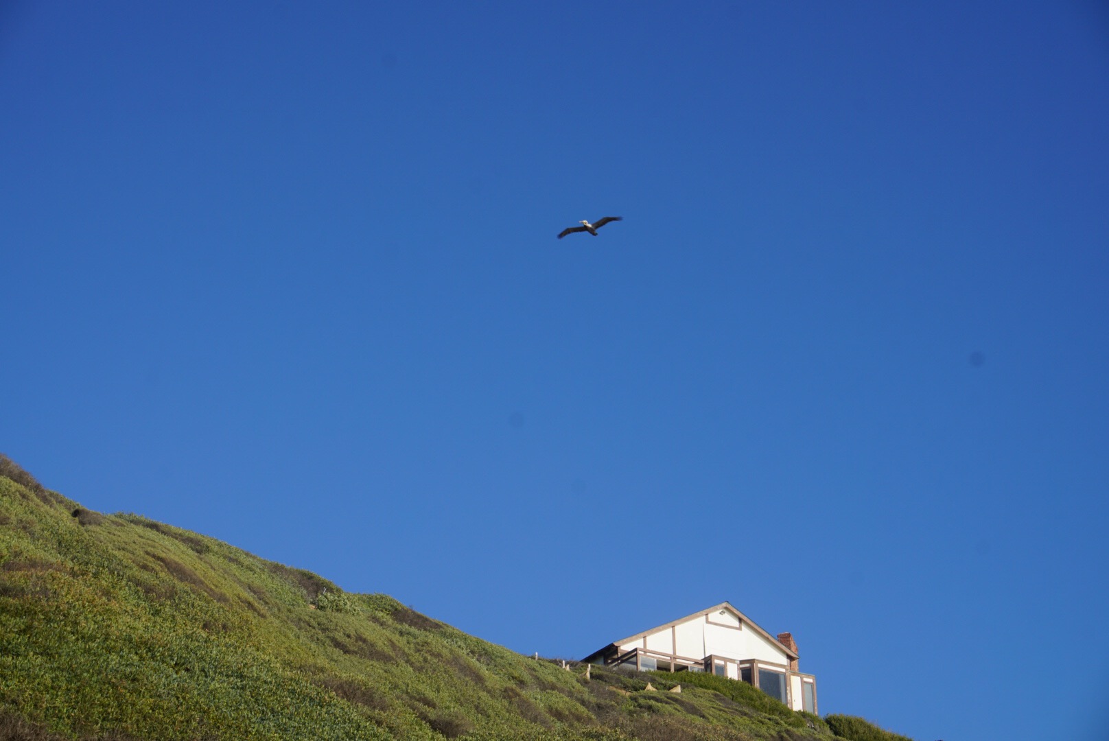 f0c01225-2ba7-4495-91f2-0b5a7f0d78a3