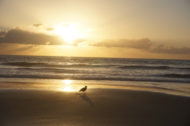 f2c029cf-752b-4b3b-810e-749abaccfcb2