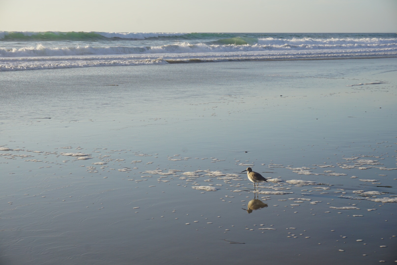 f4cbc29f-7076-4886-af06-606d6ffdb1e6