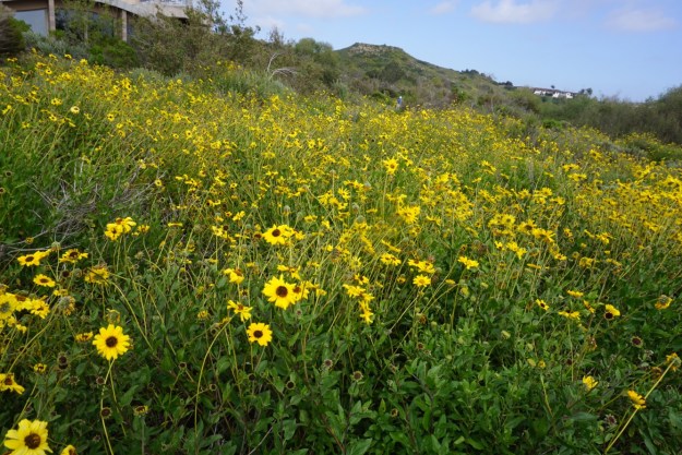 fa6f1ac9-2ee0-4312-acb3-2c4ff2b03823