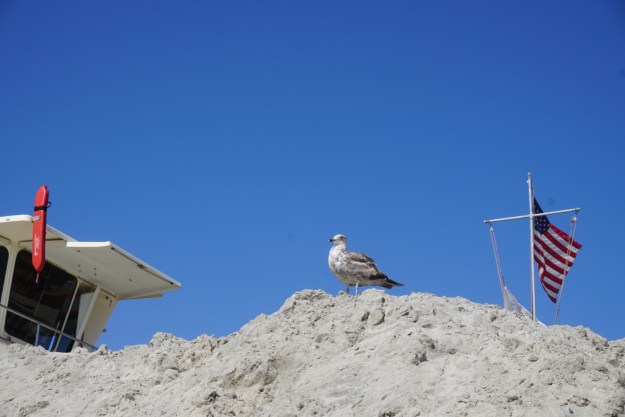 fcfccebf-6382-4356-8f34-cae2379c9725