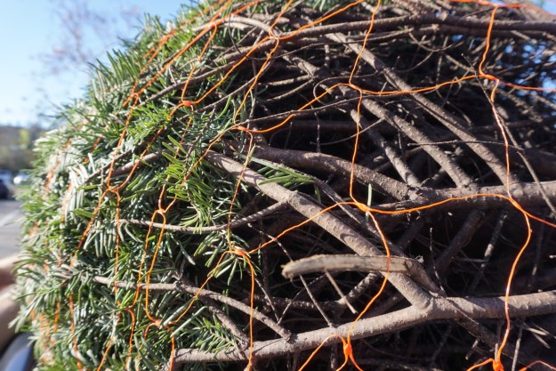 ff06de76-d9f1-416e-9f6e-2e3376a04b68