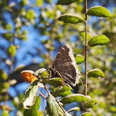 Processed with Snapseed.