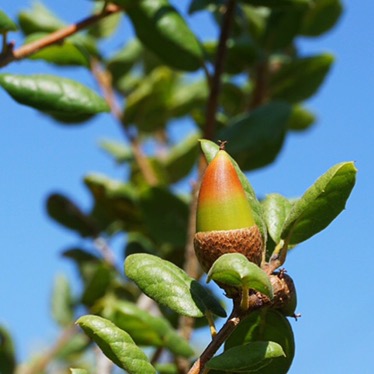 Processed with Snapseed.