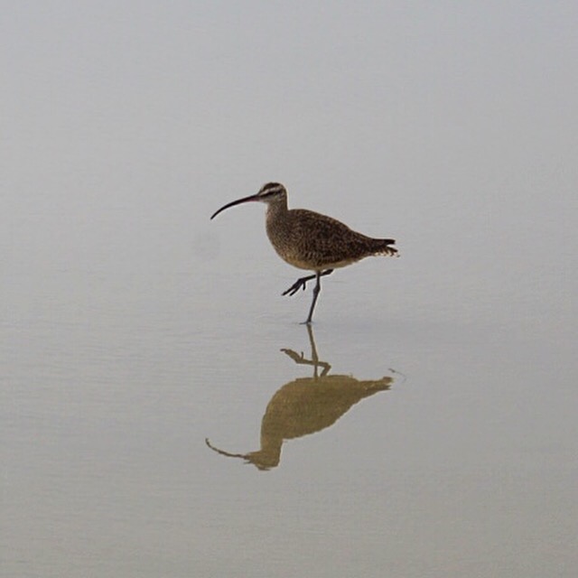 Processed with Snapseed.