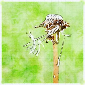 Preset Style = “It's Technical” Format = 6" (Medium) Format Margin = Small Format Border = Sm. Rounded Drawing = Technical Pen Drawing Weight = Medium Drawing Detail = High Paint = Natural Paint Lightness = Normal Paint Intensity = Normal Water = Tap Water Water Edges = Medium Water Bleed = Minimal Brush = Natural Detail Brush Focus = Everything Brush Spacing = Wide Paper = Graph Paper Texture = Medium Paper Shading = Light Options Faces = Enhance Faces