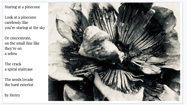 Screen Shot 2020-03-03 at 8.47.55 PM