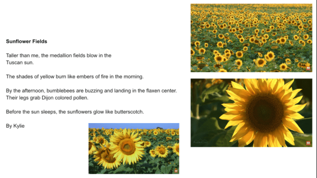 Screen Shot 2020-04-27 at 6.02.43 PM