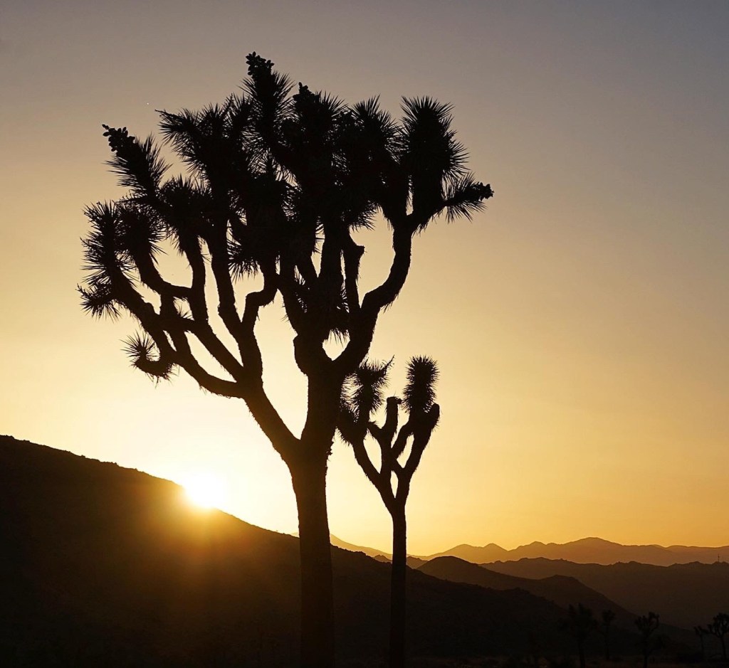 This image has an empty alt attribute; its file name is 40c33d5e-f054-4349-bdb6-244447f42e62.jpg