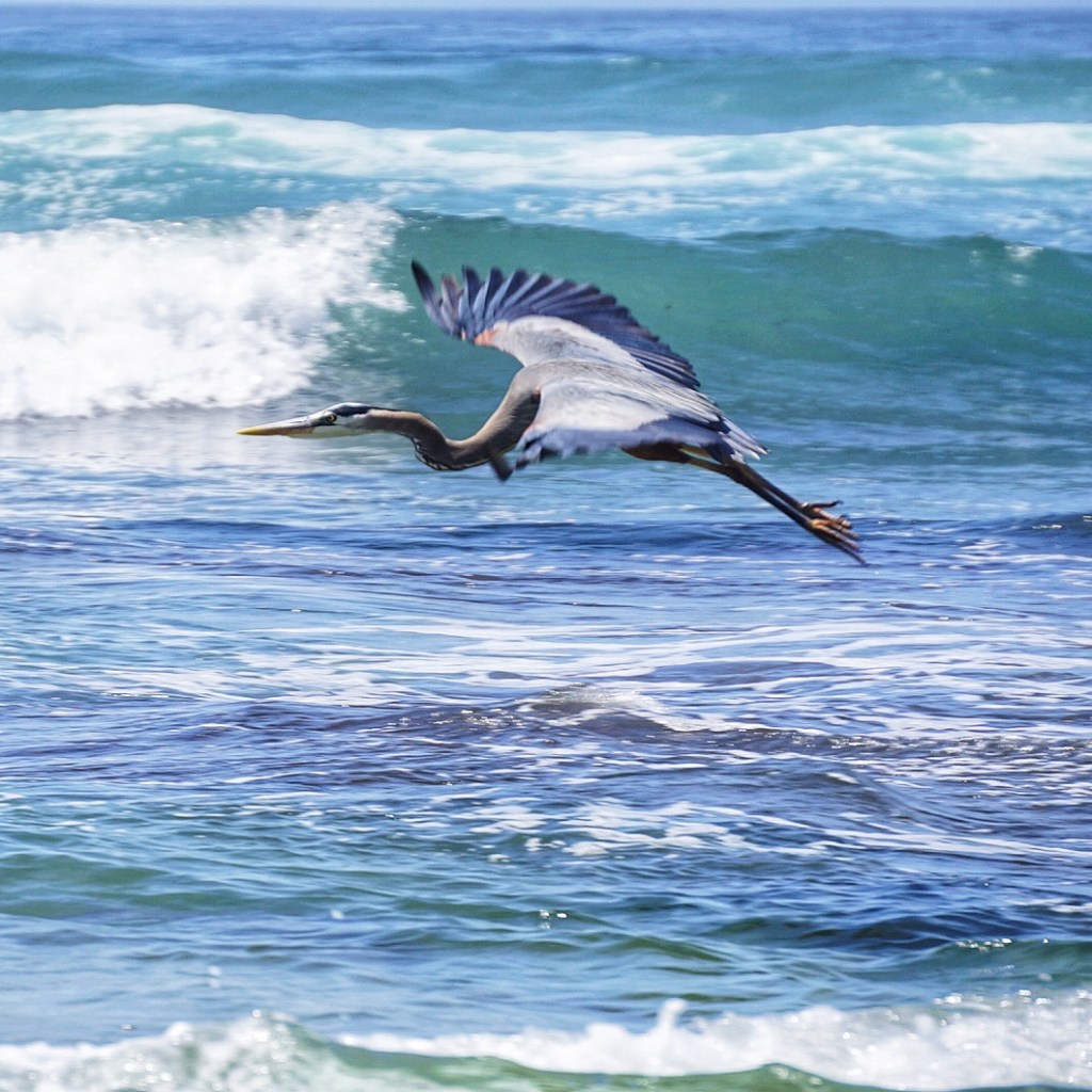 This image has an empty alt attribute; its file name is dsc09389.jpg